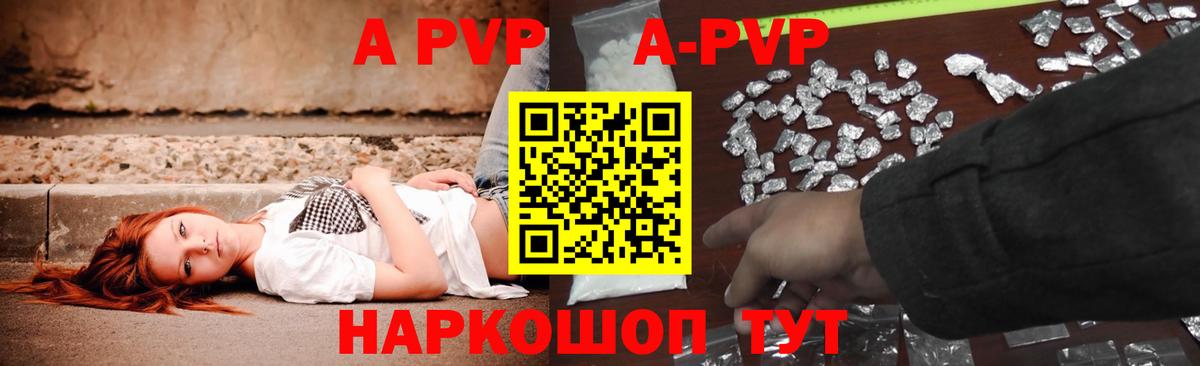 A PVP СК Нарьян-Мар