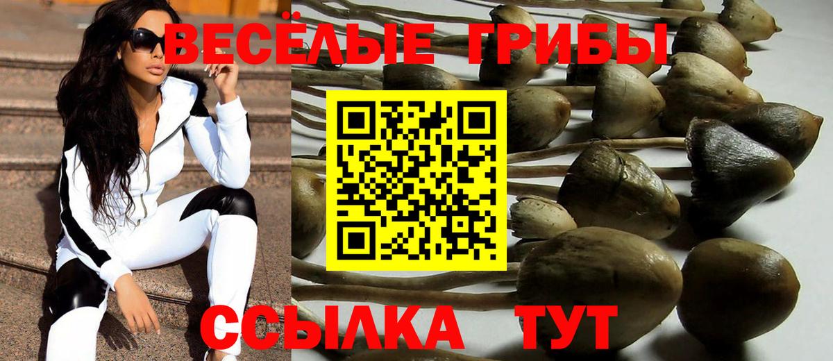 Псилоцибиновые грибы прущие грибы Нарьян-Мар